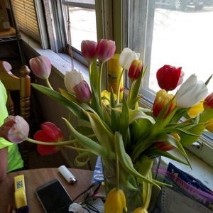 Meet your Posher, Elisabeth